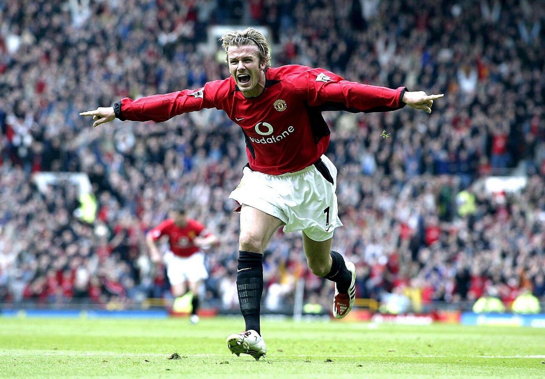 篮球迷们的 篮球迷们的